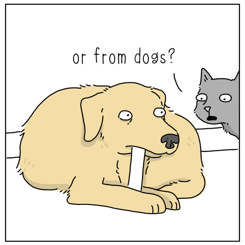 https://cdn.tinyview.com/they-can-talk/2024/08/19/bones/dog_bones2.jpg