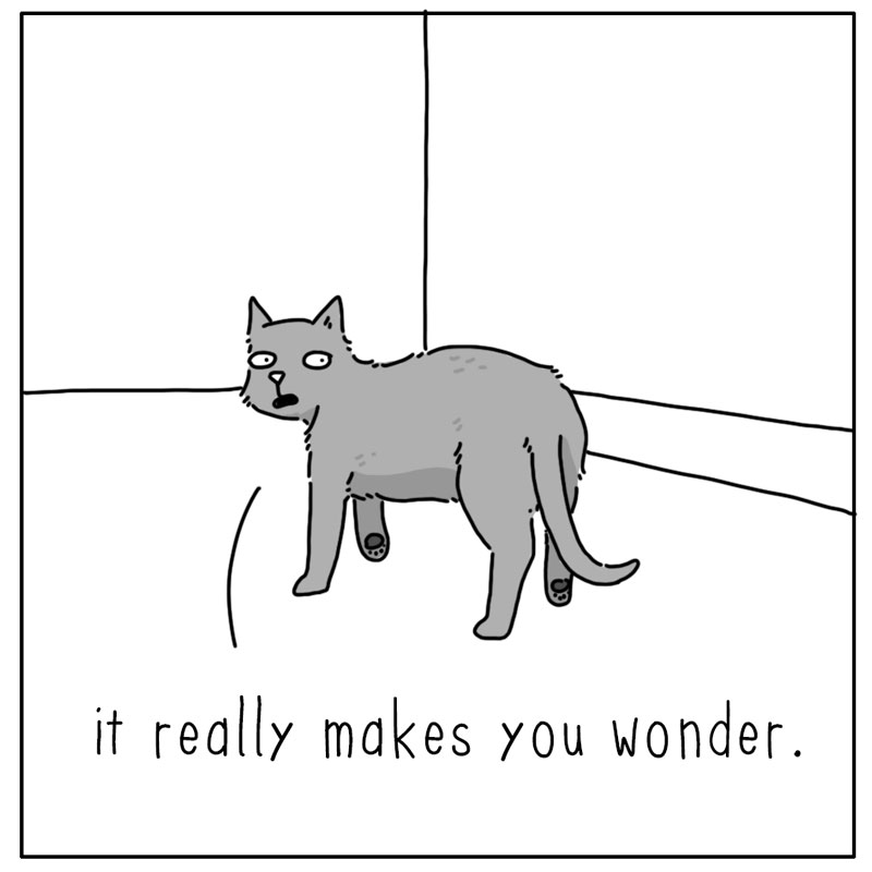 https://cdn.tinyview.com/they-can-talk/2024/08/19/bones/dog_bones3.jpg