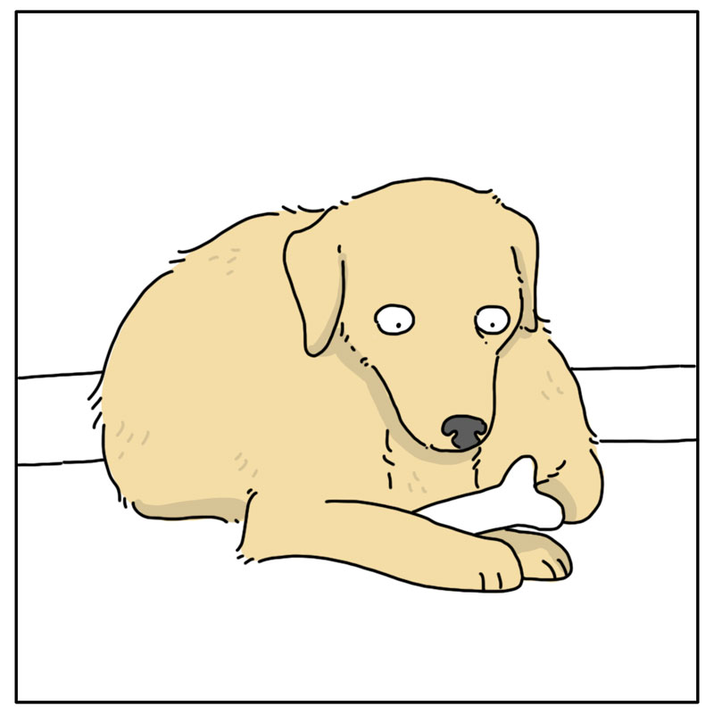 https://cdn.tinyview.com/they-can-talk/2024/08/19/bones/dog_bones4.jpg