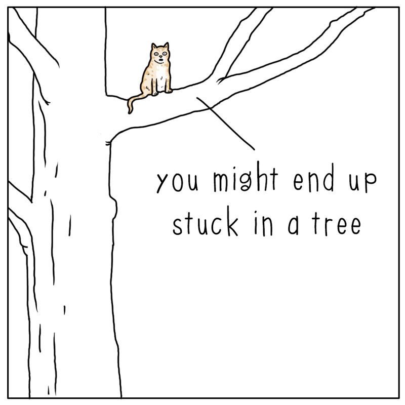 https://cdn.tinyview.com/they-can-talk/2024/08/23/goals/cat_tree1.jpg
