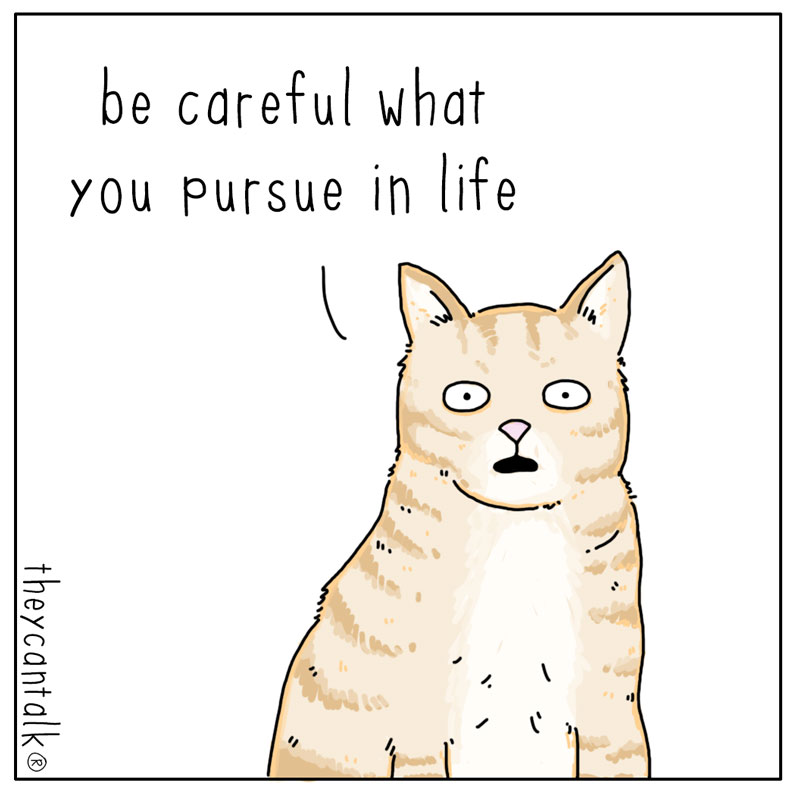 https://cdn.tinyview.com/they-can-talk/2024/08/23/goals/cat_tree2.jpg