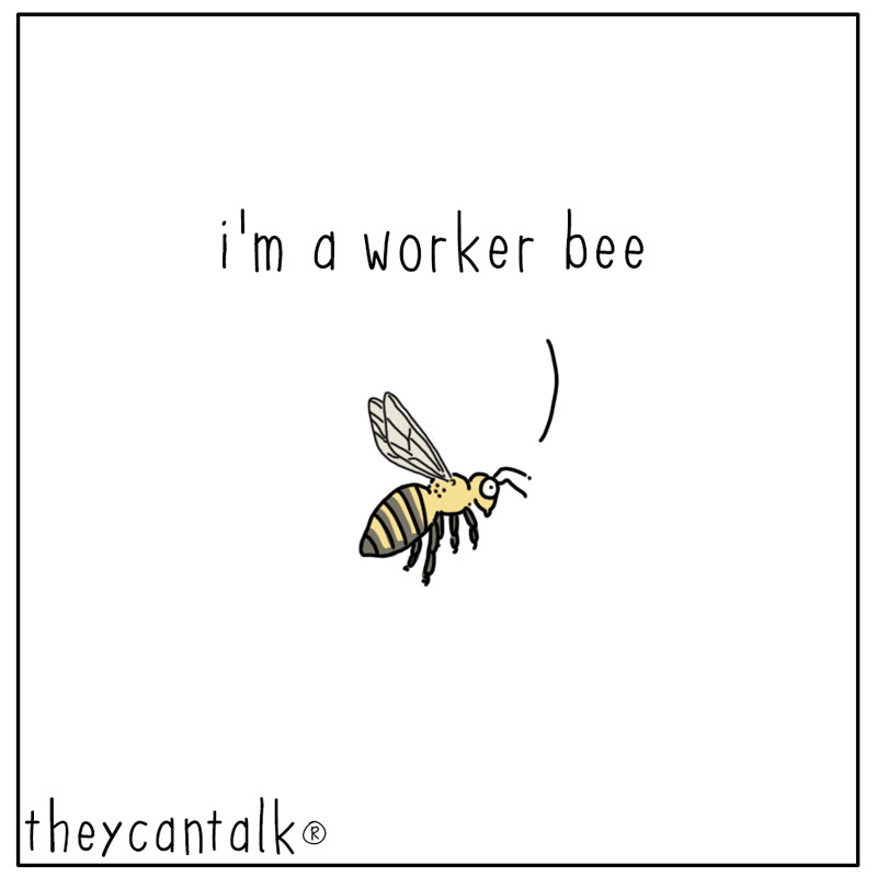https://cdn.tinyview.com/they-can-talk/2024/08/26/job/bee_worker1.jpg