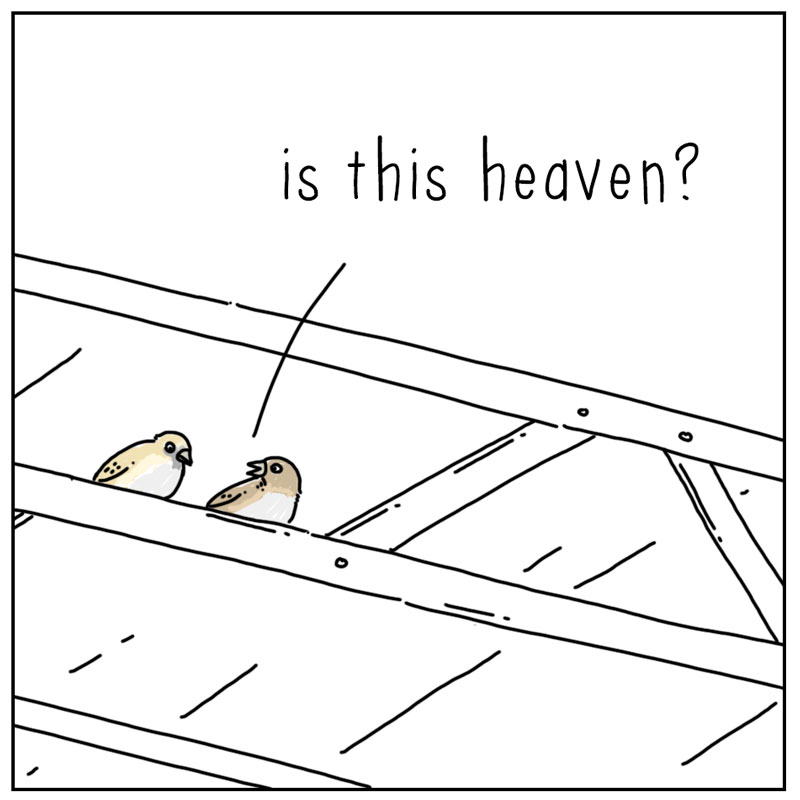 https://cdn.tinyview.com/they-can-talk/2024/08/30/heaven/bird_heaven1.jpg