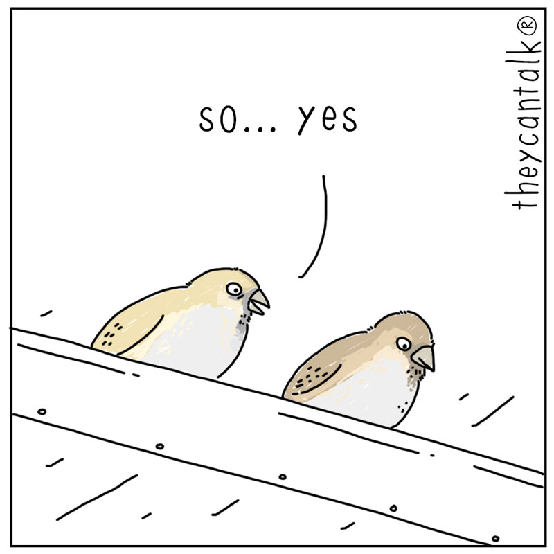 https://cdn.tinyview.com/they-can-talk/2024/08/30/heaven/bird_heaven3.jpg