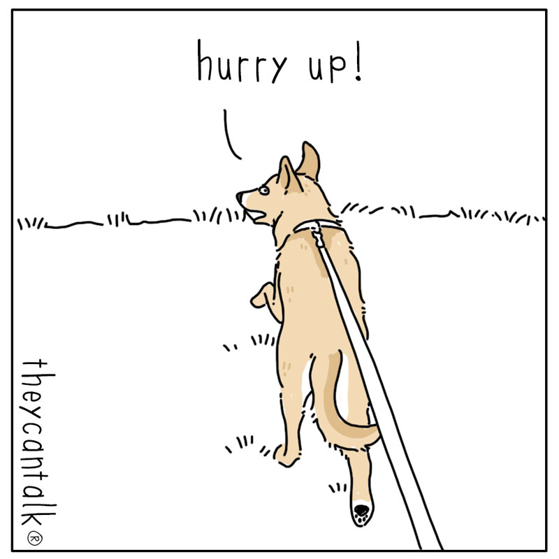 https://cdn.tinyview.com/they-can-talk/2024/09/02/legs/dog_fourlegs1.jpg