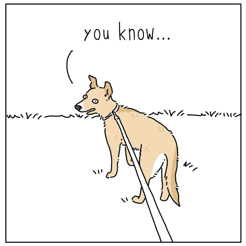 https://cdn.tinyview.com/they-can-talk/2024/09/02/legs/dog_fourlegs3.jpg