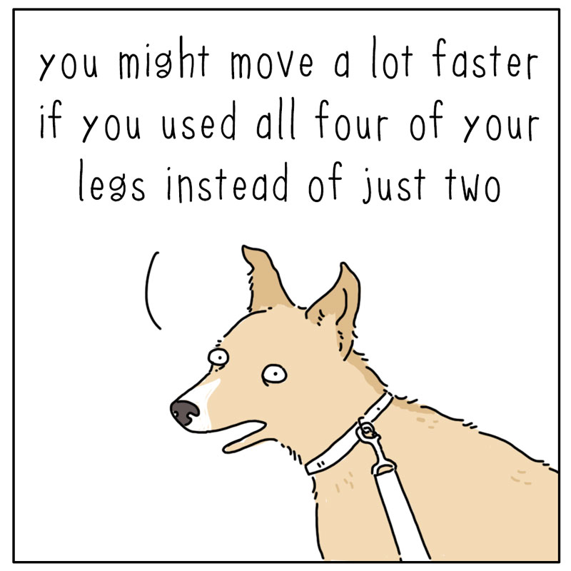 https://cdn.tinyview.com/they-can-talk/2024/09/02/legs/dog_fourlegs4.jpg