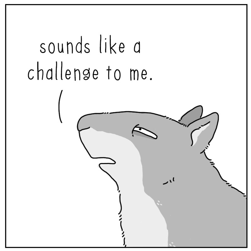 https://cdn.tinyview.com/they-can-talk/2024/09/06/feeder/squirrell_challenge3.jpg