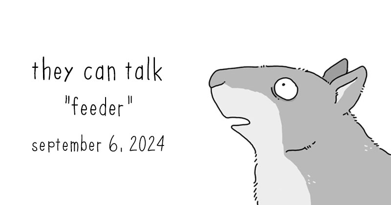 feeder