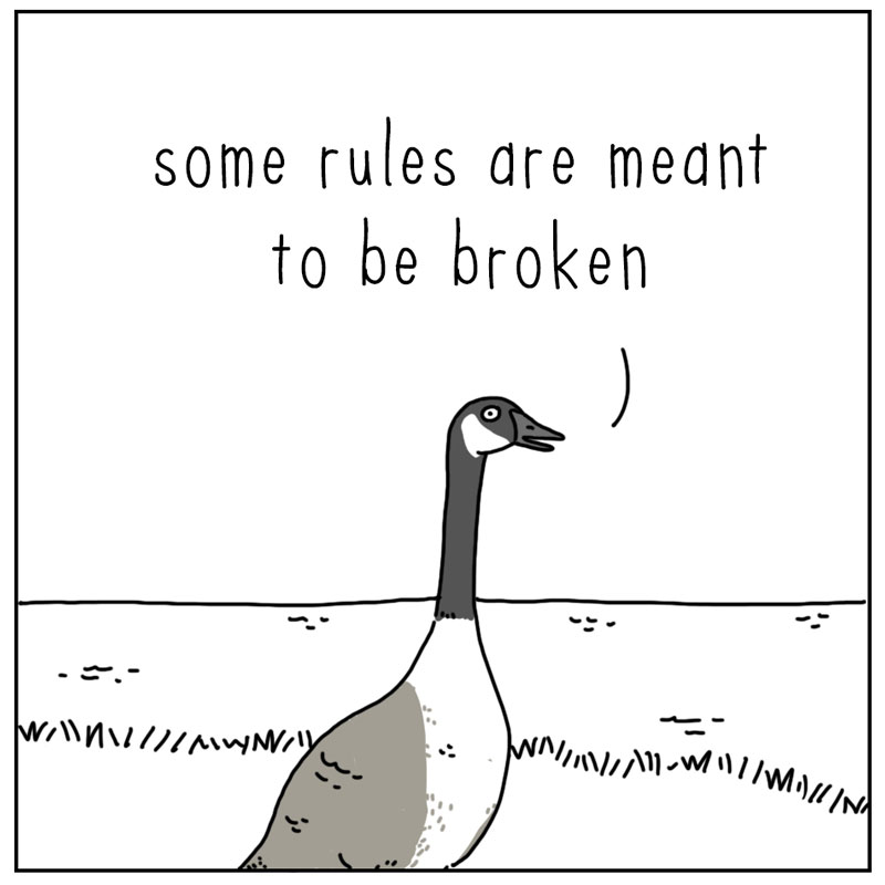 https://cdn.tinyview.com/they-can-talk/2024/09/09/rules/goose_rules1.jpg
