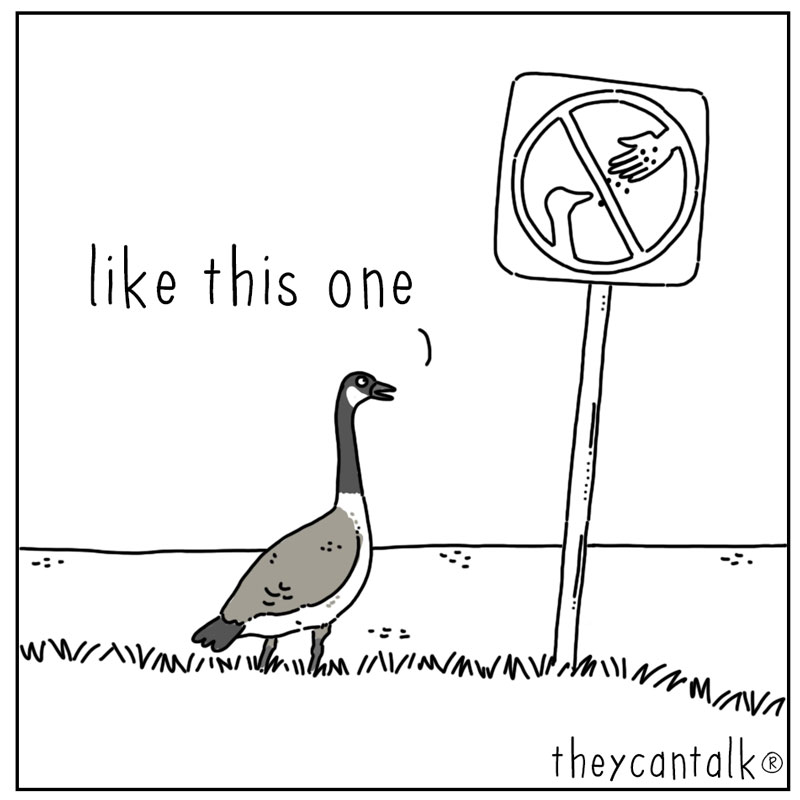 https://cdn.tinyview.com/they-can-talk/2024/09/09/rules/goose_rules2.jpg