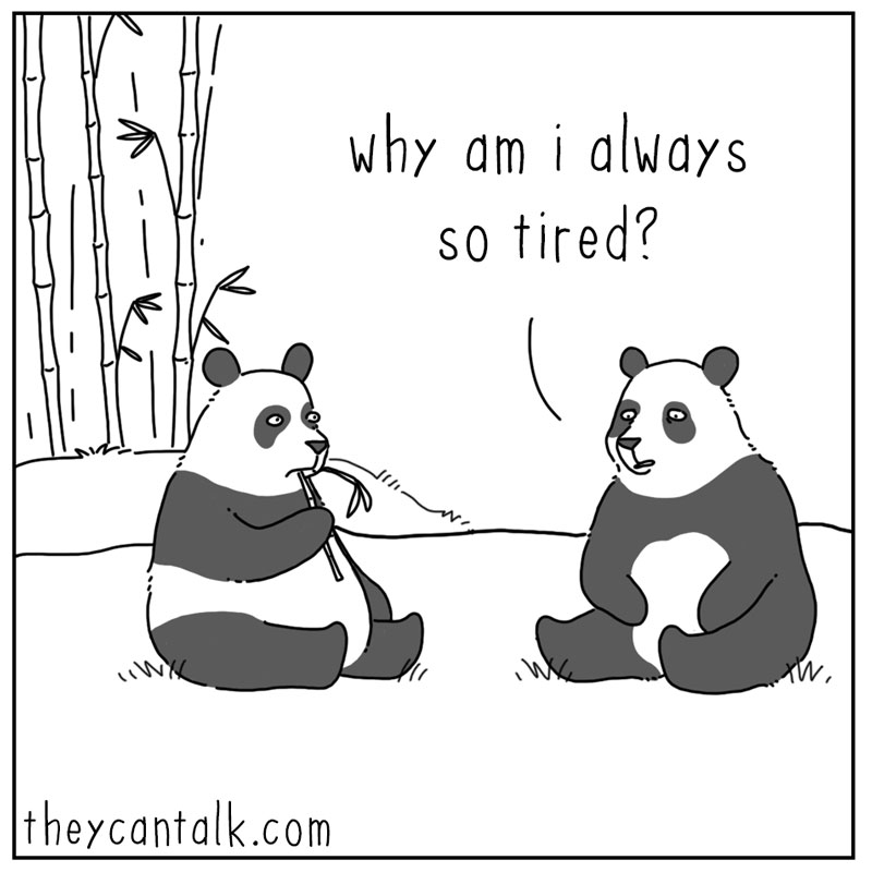 https://cdn.tinyview.com/they-can-talk/2024/09/13/tired/panda_tired1.jpg