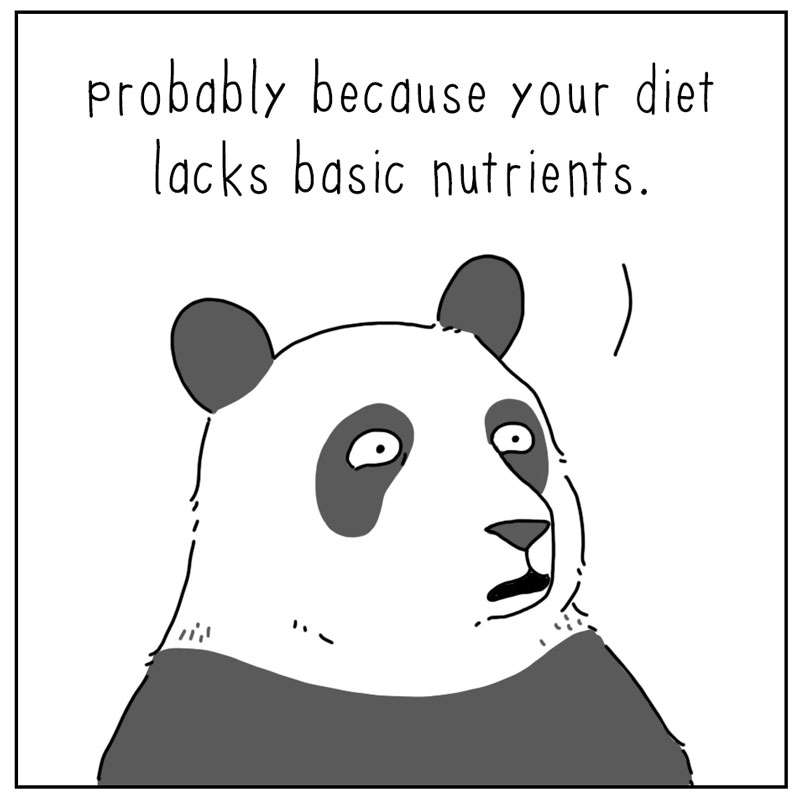 https://cdn.tinyview.com/they-can-talk/2024/09/13/tired/panda_tired2.jpg