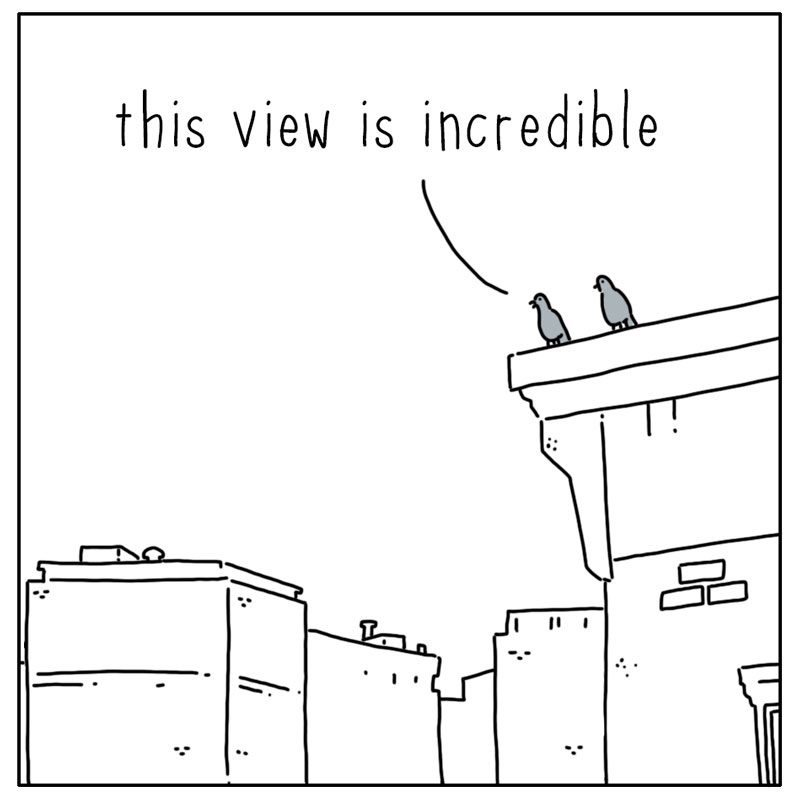 https://cdn.tinyview.com/they-can-talk/2024/09/20/fortune/pigeon_fortune1.jpg