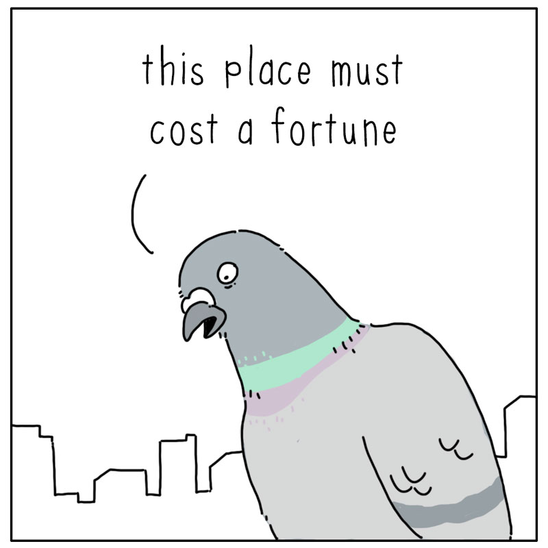 https://cdn.tinyview.com/they-can-talk/2024/09/20/fortune/pigeon_fortune2.jpg