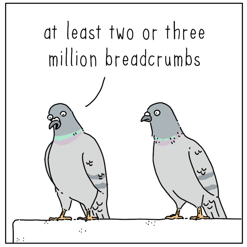 https://cdn.tinyview.com/they-can-talk/2024/09/20/fortune/pigeon_fortune3.jpg