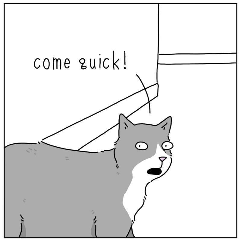https://cdn.tinyview.com/they-can-talk/2024/09/23/alert/cat_litter1.jpg