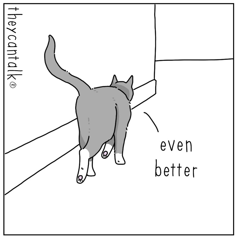 https://cdn.tinyview.com/they-can-talk/2024/09/23/alert/cat_litter3.jpg