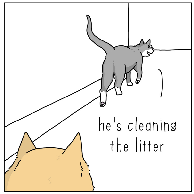 https://cdn.tinyview.com/they-can-talk/2024/09/23/alert/cat_litter4.jpg