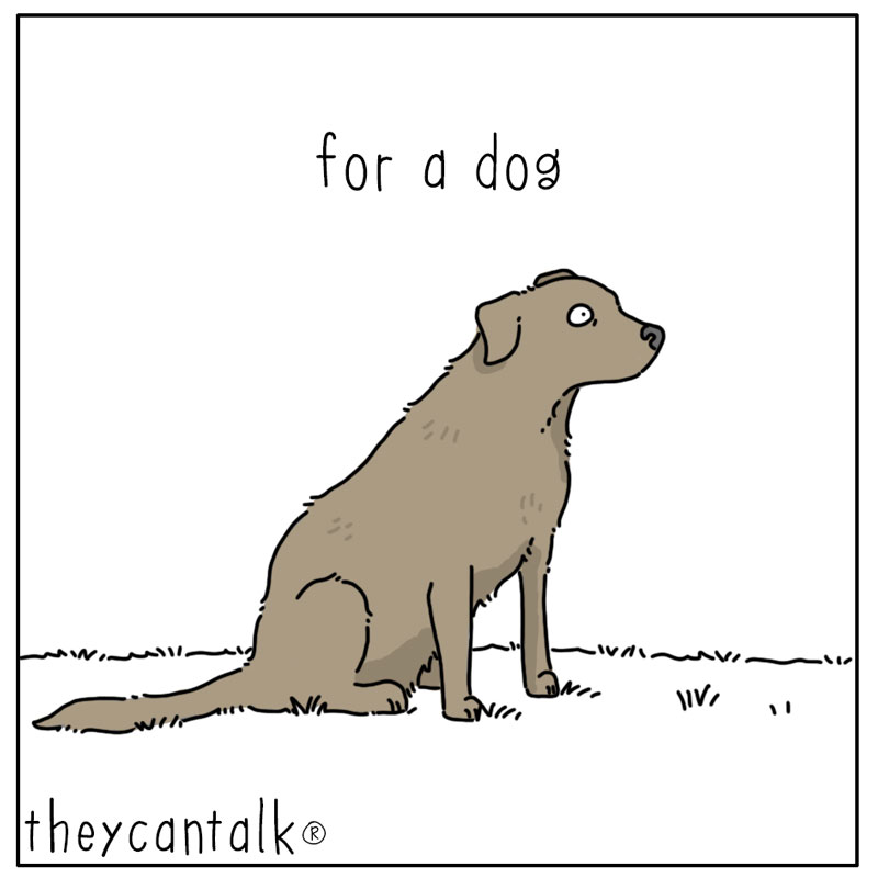 https://cdn.tinyview.com/they-can-talk/2024/09/29/self-discovery/dog_self1.jpg