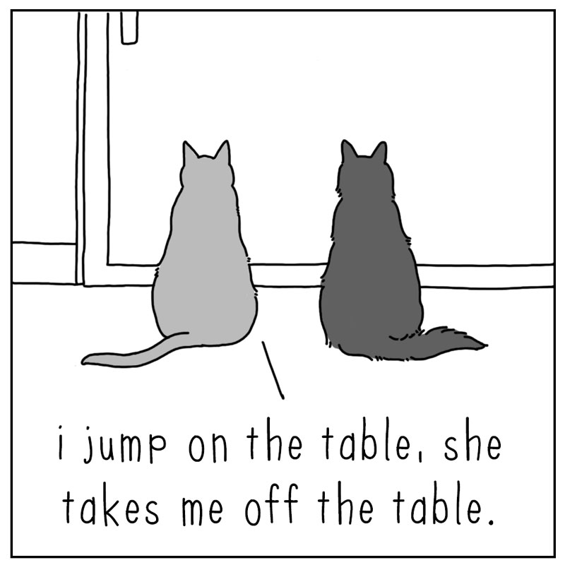 https://cdn.tinyview.com/they-can-talk/2024/10/04/game/cat_counter1.jpg