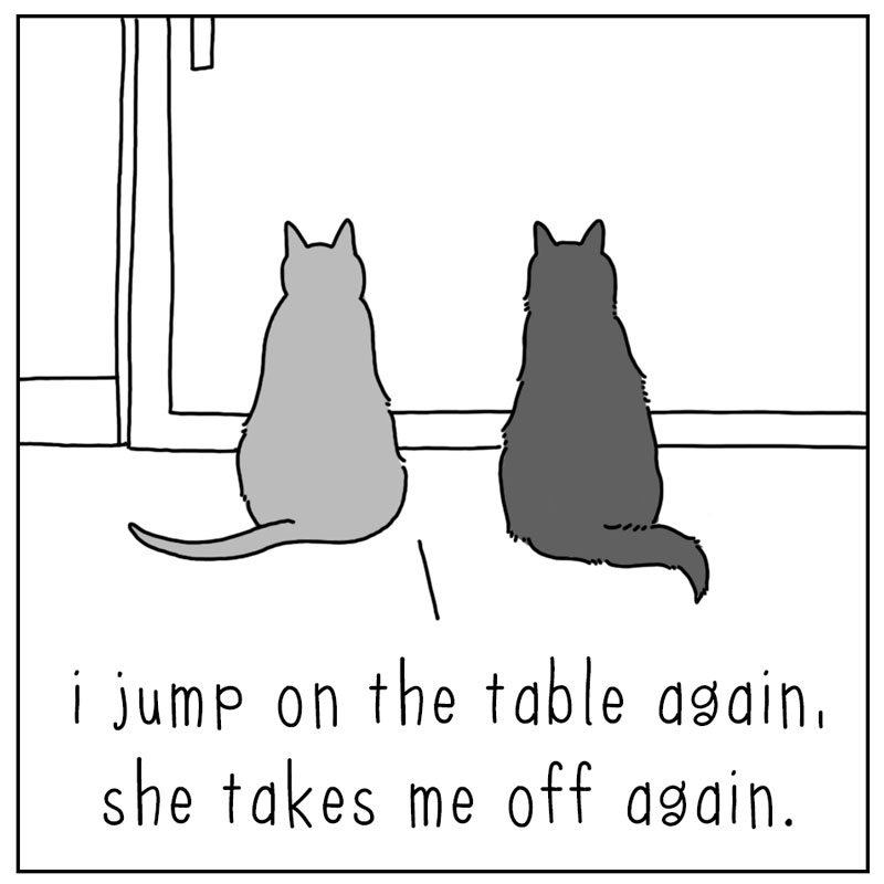 https://cdn.tinyview.com/they-can-talk/2024/10/04/game/cat_counter2.jpg
