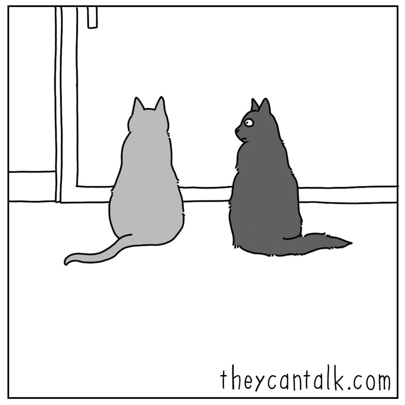 https://cdn.tinyview.com/they-can-talk/2024/10/04/game/cat_counter4.jpg