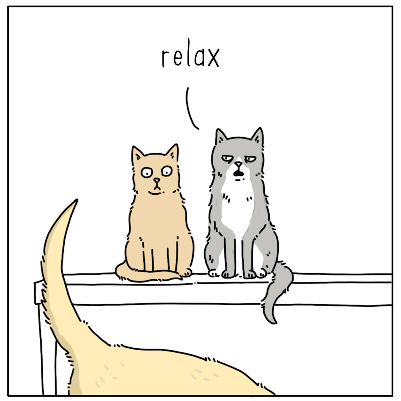https://cdn.tinyview.com/they-can-talk/2024/10/07/darkness/dog_gas3.jpg