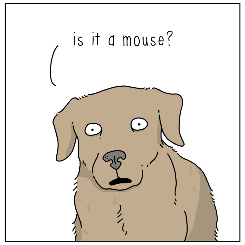 https://cdn.tinyview.com/they-can-talk/2024/10/11/disturbance/dog_ghostmouse2.jpg