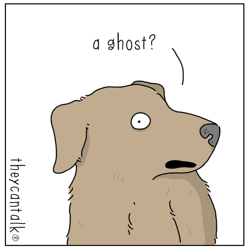 https://cdn.tinyview.com/they-can-talk/2024/10/11/disturbance/dog_ghostmouse3.jpg