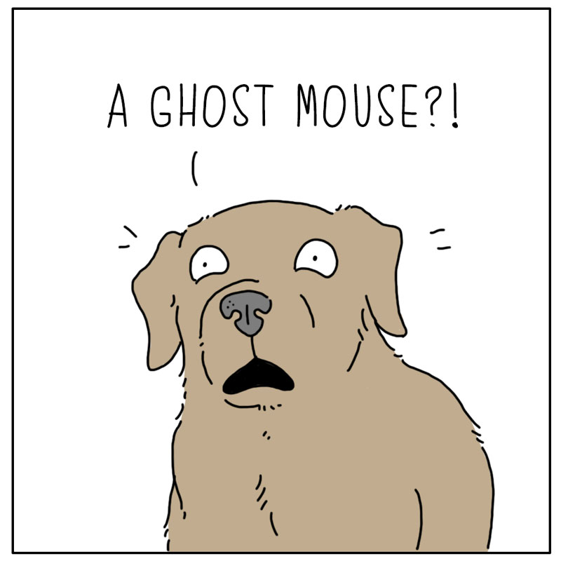https://cdn.tinyview.com/they-can-talk/2024/10/11/disturbance/dog_ghostmouse4.jpg