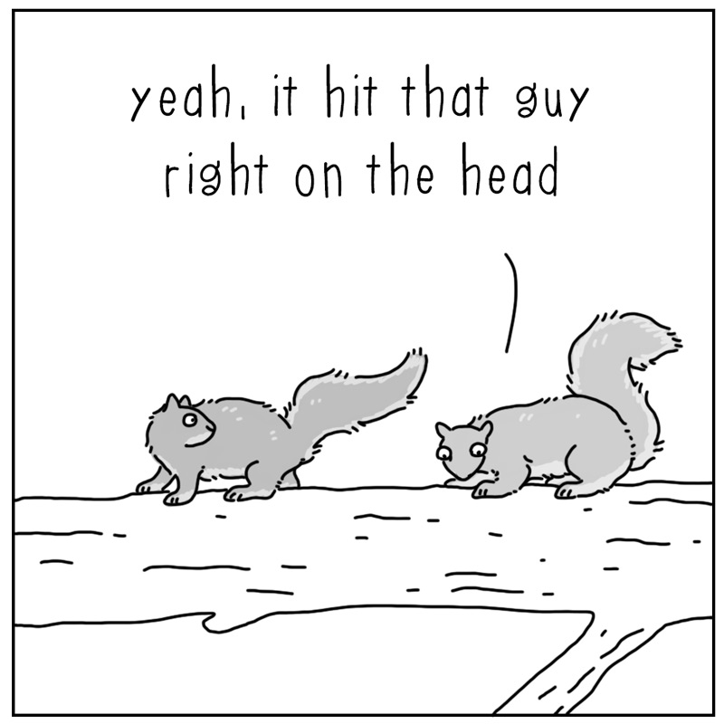 https://cdn.tinyview.com/they-can-talk/2024/10/14/dropped/squirrel_dropped2.jpg