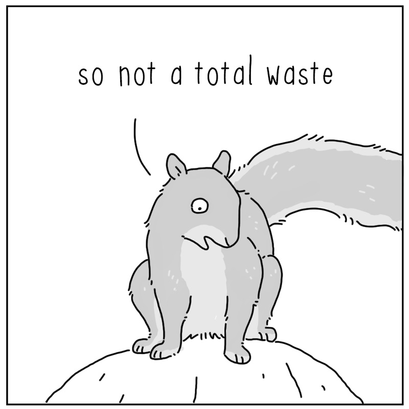 https://cdn.tinyview.com/they-can-talk/2024/10/14/dropped/squirrel_dropped3.jpg