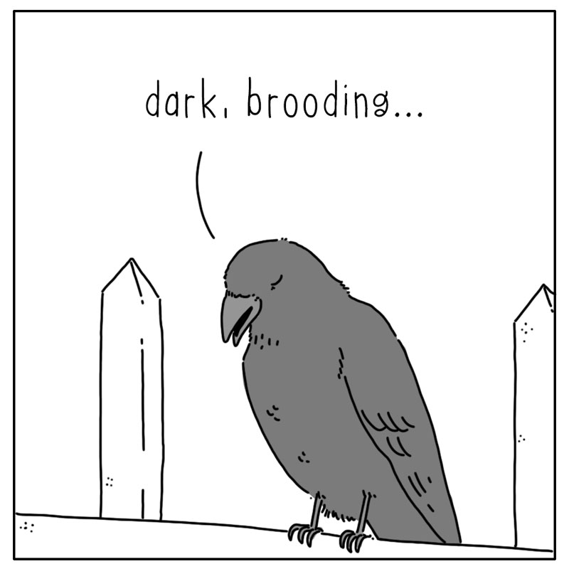 https://cdn.tinyview.com/they-can-talk/2024/10/21/image/crow_cemetary3.jpg
