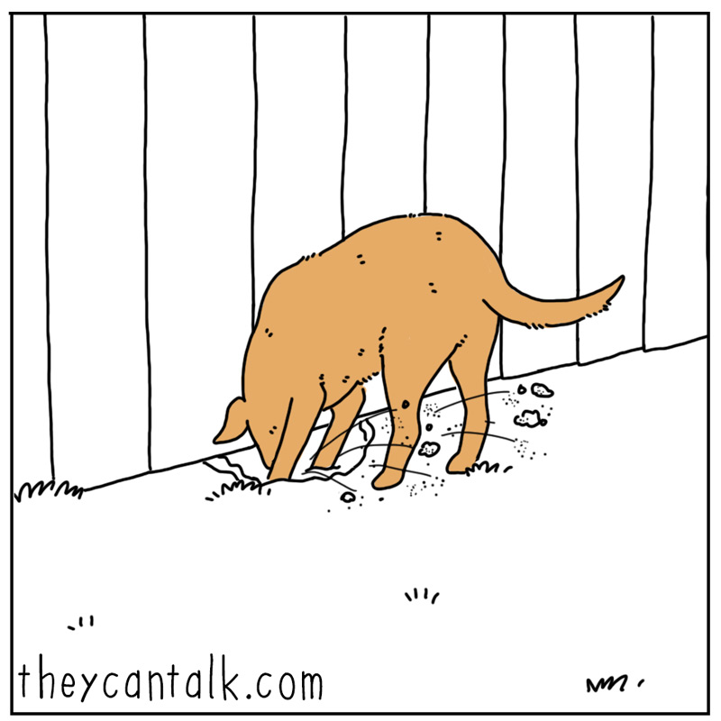 https://cdn.tinyview.com/they-can-talk/2024/10/23/the-barking/dog_heresjohnny1.jpg