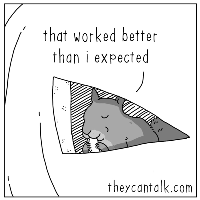 https://cdn.tinyview.com/they-can-talk/2024/10/25/jack-o-lantern/squirrel_pumpkin4.jpg