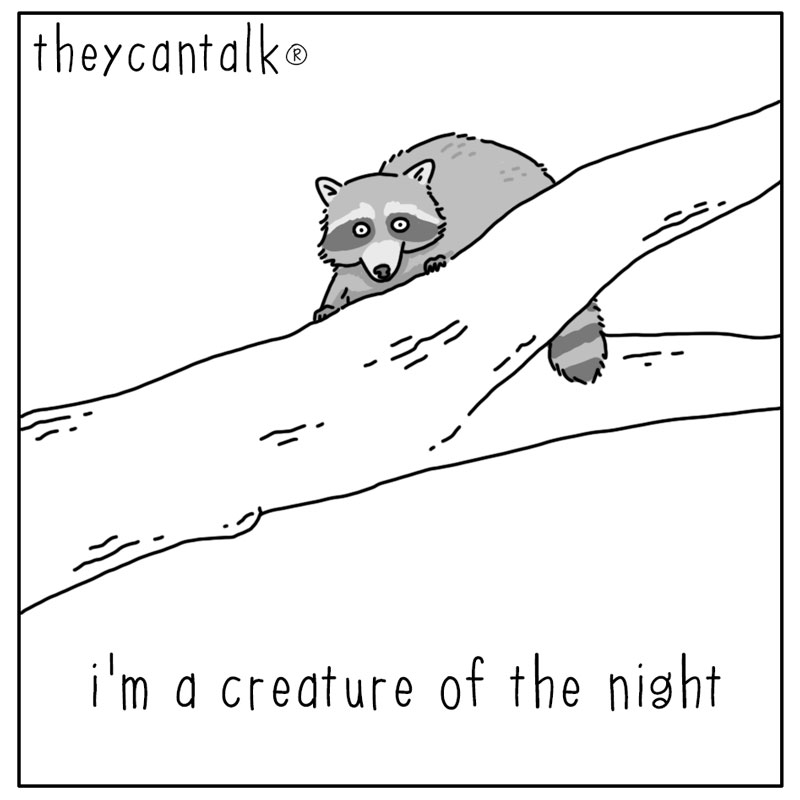 https://cdn.tinyview.com/they-can-talk/2024/10/27/sneaking/raccoon_sneaking1.jpg