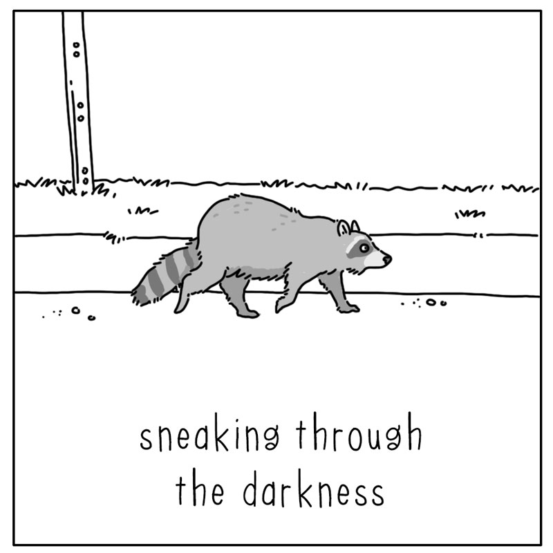 https://cdn.tinyview.com/they-can-talk/2024/10/27/sneaking/raccoon_sneaking2.jpg