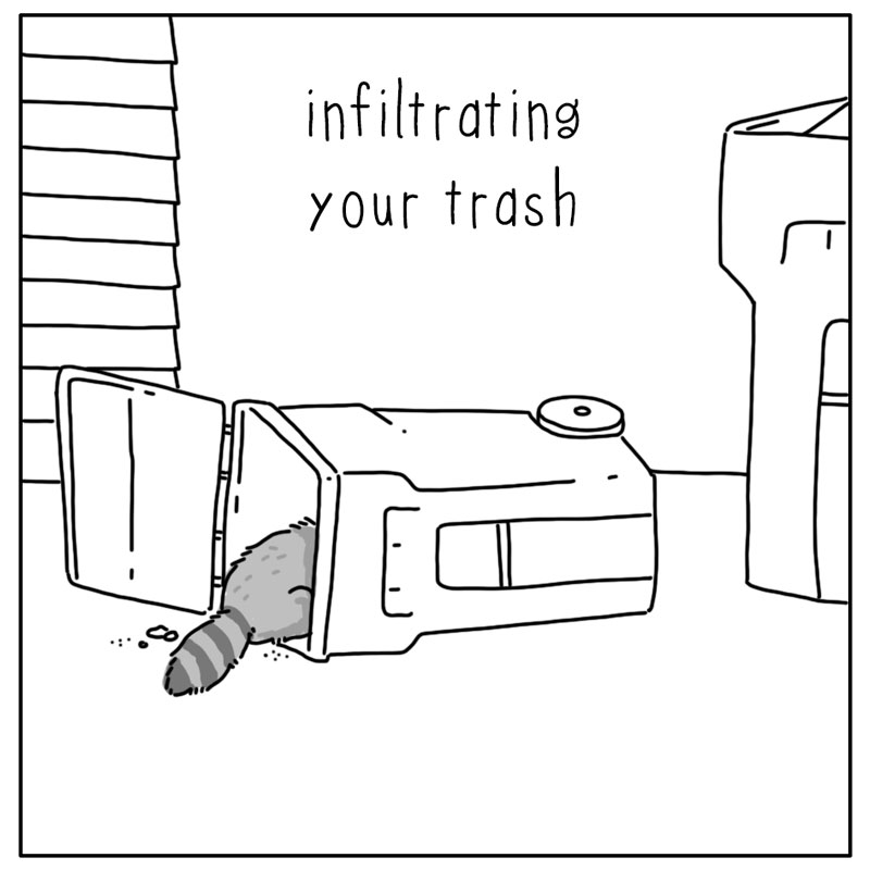 https://cdn.tinyview.com/they-can-talk/2024/10/27/sneaking/raccoon_sneaking3.jpg