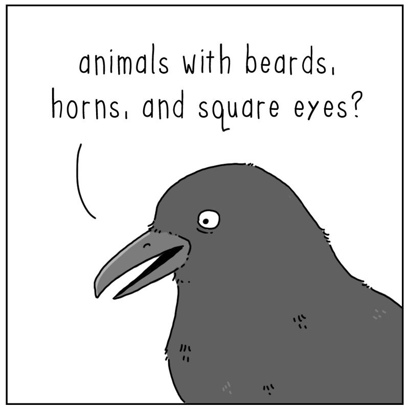 https://cdn.tinyview.com/they-can-talk/2024/11/01/believe/crow_goats2.jpg