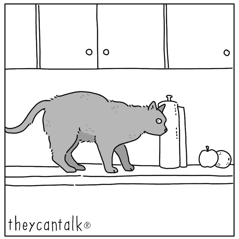 https://cdn.tinyview.com/they-can-talk/2024/11/04/counter/cat_counter1.jpg