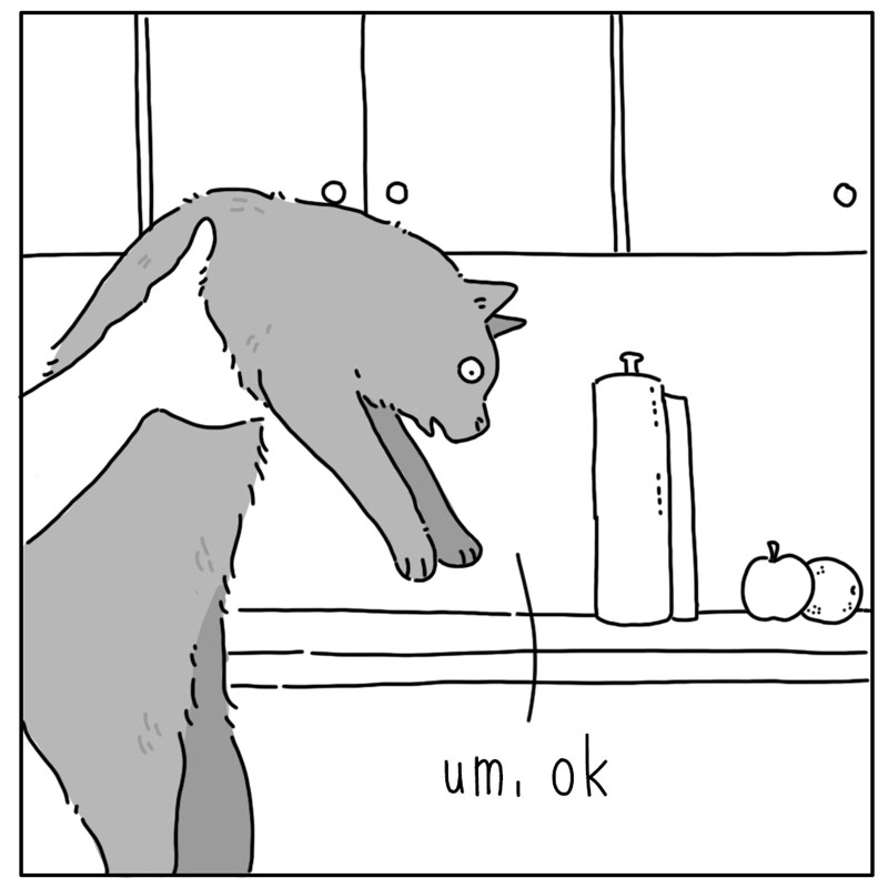 https://cdn.tinyview.com/they-can-talk/2024/11/04/counter/cat_counter3.jpg