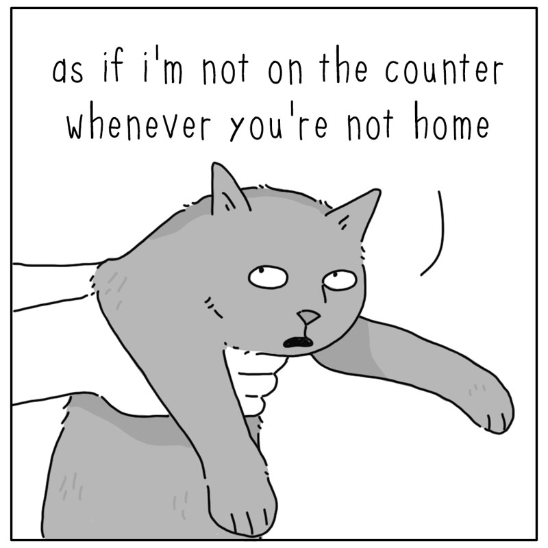 https://cdn.tinyview.com/they-can-talk/2024/11/04/counter/cat_counter4.jpg