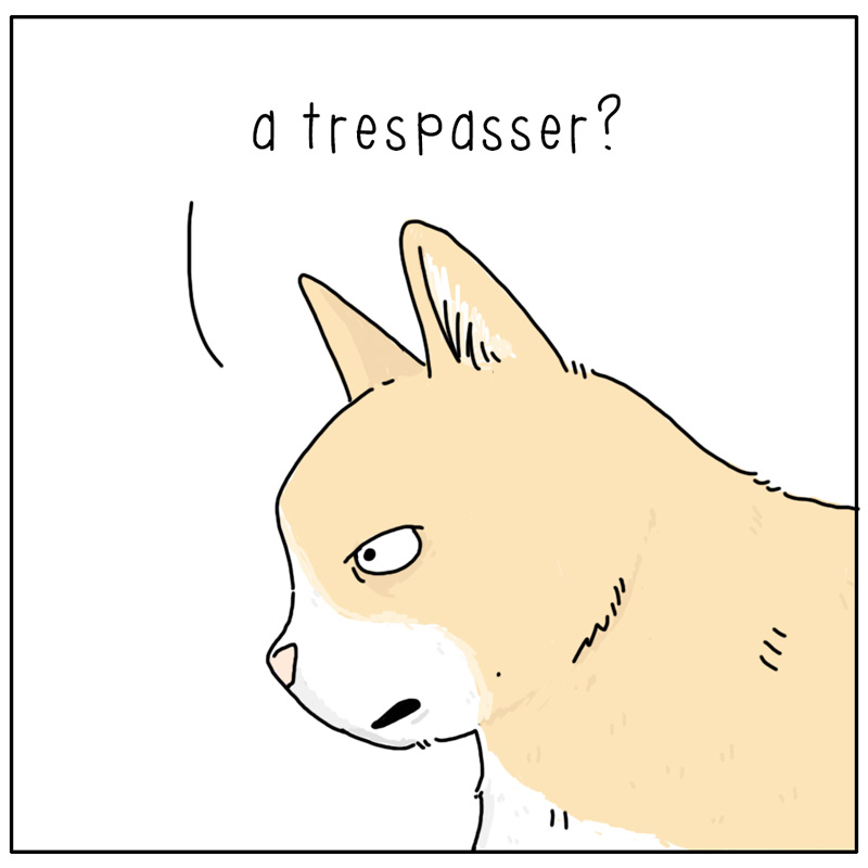 https://cdn.tinyview.com/they-can-talk/2024/11/08/trespasser/cat_opponent1.jpg