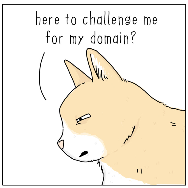 https://cdn.tinyview.com/they-can-talk/2024/11/08/trespasser/cat_opponent2.jpg