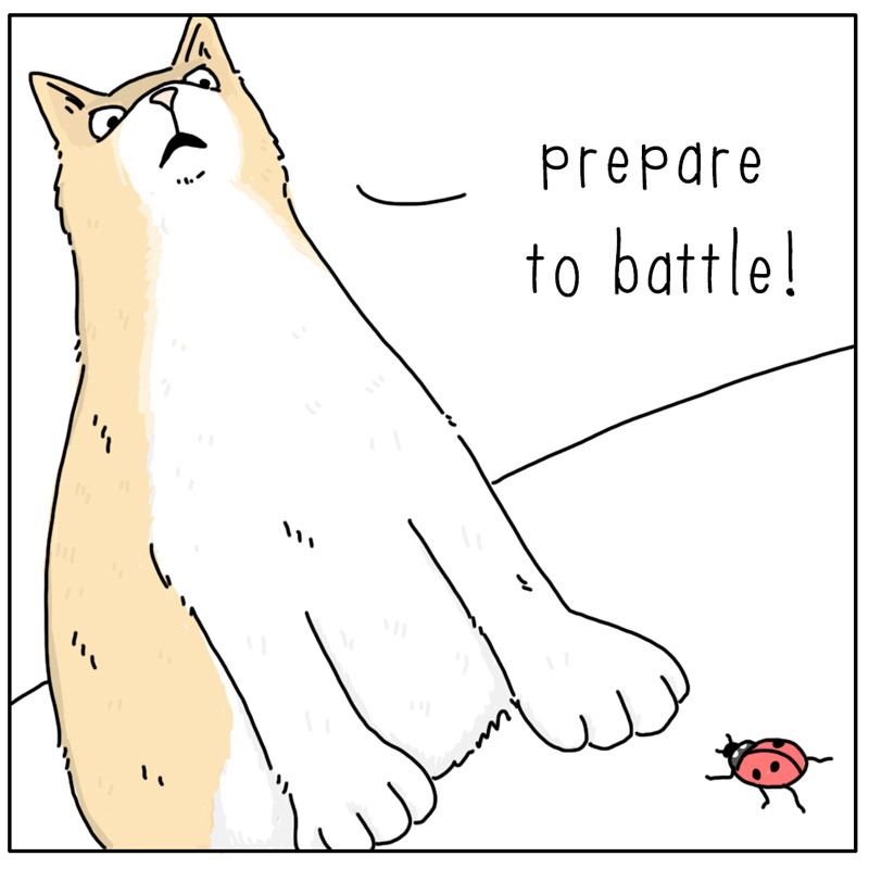 https://cdn.tinyview.com/they-can-talk/2024/11/08/trespasser/cat_opponent3.jpg
