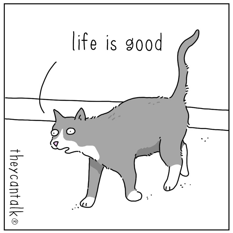 https://cdn.tinyview.com/they-can-talk/2024/11/11/discontent/cat_chicken1.jpg