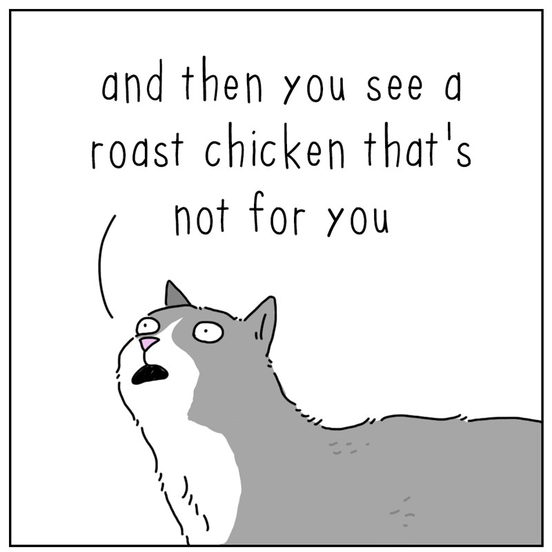 https://cdn.tinyview.com/they-can-talk/2024/11/11/discontent/cat_chicken2.jpg