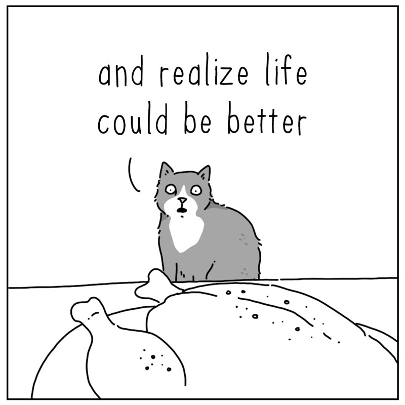 https://cdn.tinyview.com/they-can-talk/2024/11/11/discontent/cat_chicken3.jpg