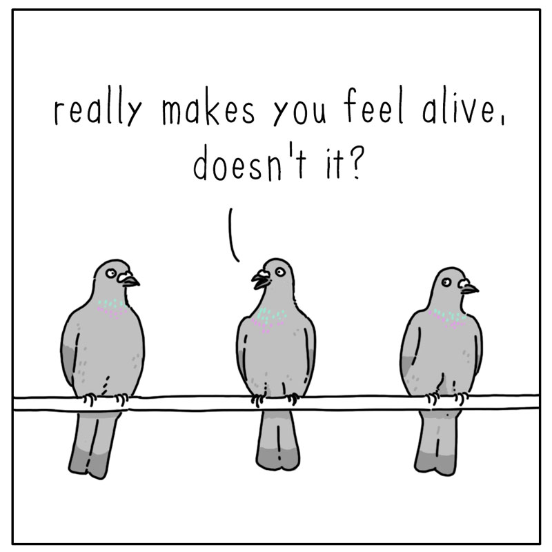 https://cdn.tinyview.com/they-can-talk/2024/11/14/electricity/pigeon_wire2.jpg